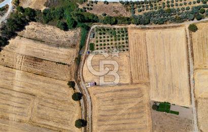 CB MARİNA'DAN YATAĞAN OVASINDA SATILIK 3.900 M2 SATILIK "TARLA"