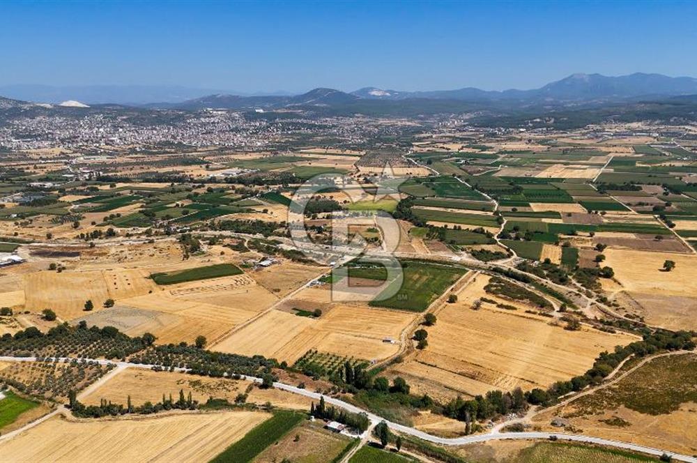 CB MARİNA'DAN YATAĞAN OVASINDA SATILIK 3.900 M2 SATILIK "TARLA"