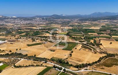 CB MARİNA'DAN YATAĞAN OVASINDA SATILIK 3.900 M2 SATILIK "TARLA"