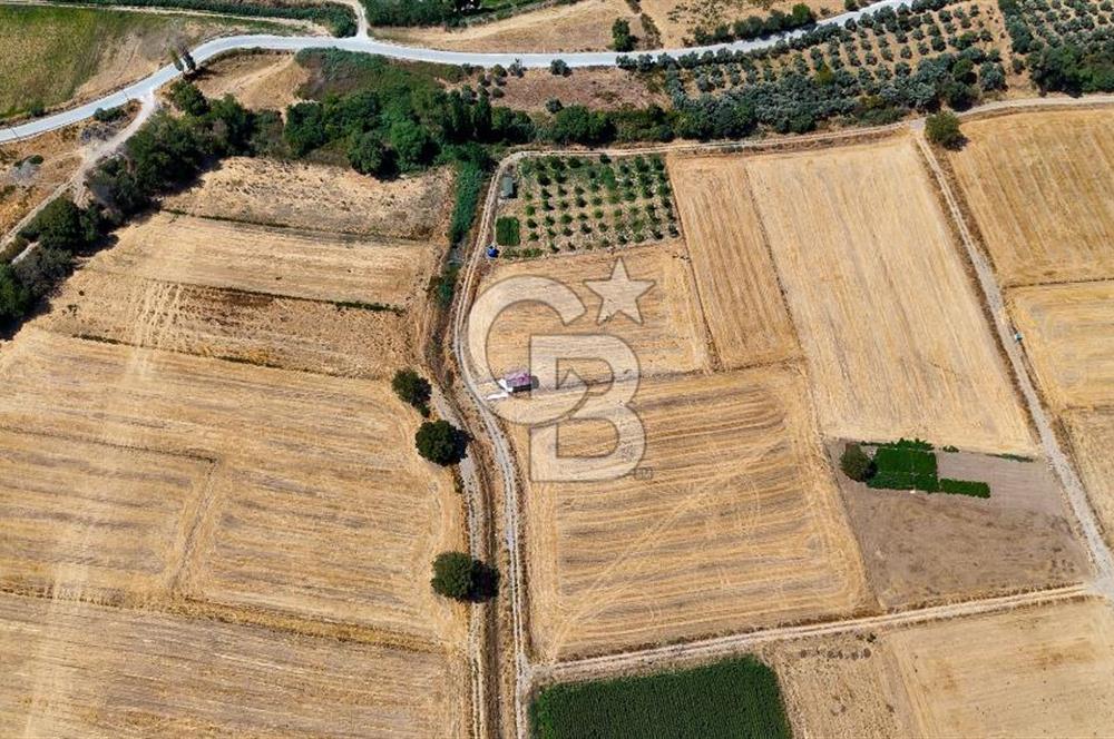 CB MARİNA'DAN YATAĞAN OVASINDA SATILIK 3.900 M2 SATILIK "TARLA"
