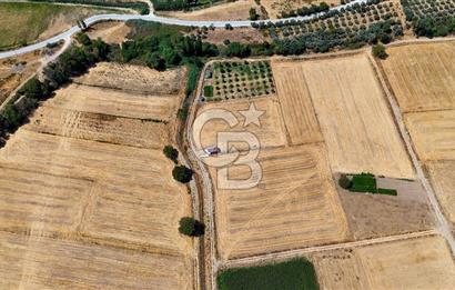 CB MARİNA'DAN YATAĞAN OVASINDA SATILIK 3.900 M2 SATILIK "TARLA"