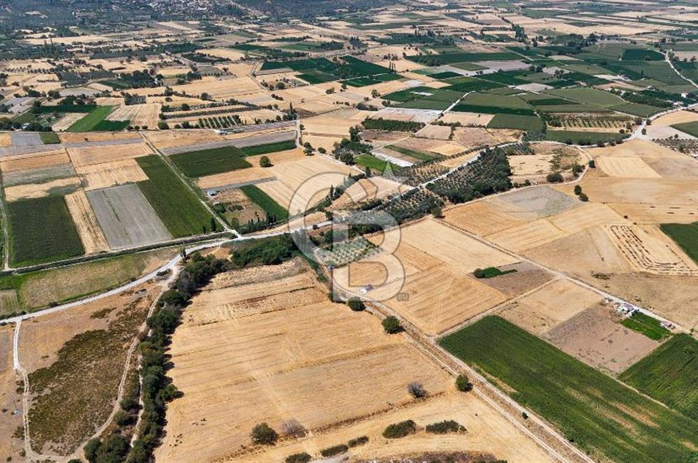 CB MARİNA'DAN YATAĞAN OVASINDA SATILIK 3.900 M2 SATILIK "TARLA"