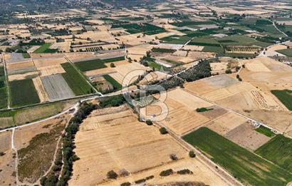 CB MARİNA'DAN YATAĞAN OVASINDA SATILIK 3.900 M2 SATILIK "TARLA"