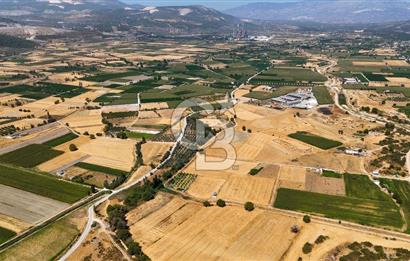 CB MARİNA'DAN YATAĞAN OVASINDA SATILIK 3.900 M2 SATILIK "TARLA"