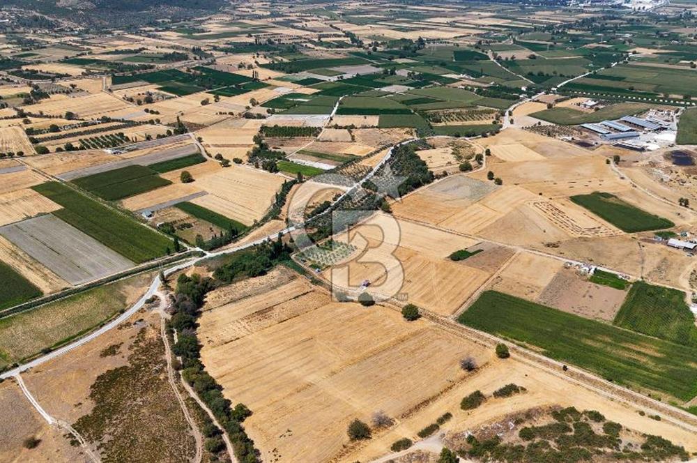 CB MARİNA'DAN YATAĞAN OVASINDA SATILIK 3.900 M2 SATILIK "TARLA"