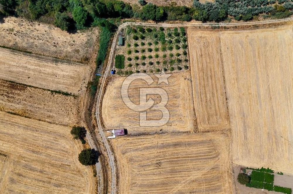 CB MARİNA'DAN YATAĞAN OVASINDA SATILIK 3.900 M2 SATILIK "TARLA"