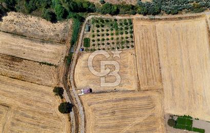 CB MARİNA'DAN YATAĞAN OVASINDA SATILIK 3.900 M2 SATILIK "TARLA"