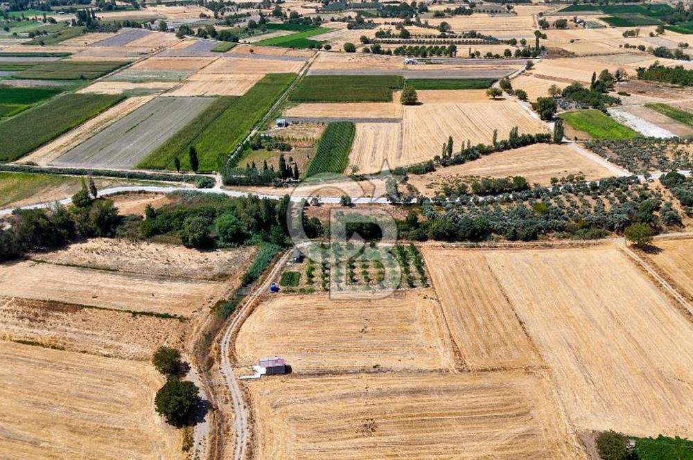 CB MARİNA'DAN YATAĞAN OVASINDA SATILIK 3.900 M2 SATILIK "TARLA"