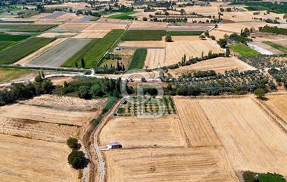 CB MARİNA'DAN YATAĞAN OVASINDA SATILIK 3.900 M2 SATILIK "TARLA"