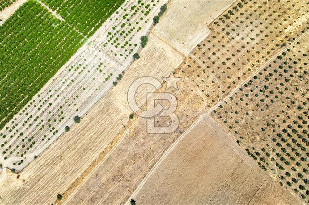 CB MARİNA'DAN HACIBAYRAMLAR MAH. SATILIK 2780 M2 "TARLA"