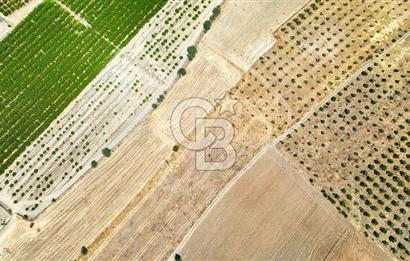 CB MARİNA'DAN HACIBAYRAMLAR MAH. SATILIK 2780 M2 "TARLA"