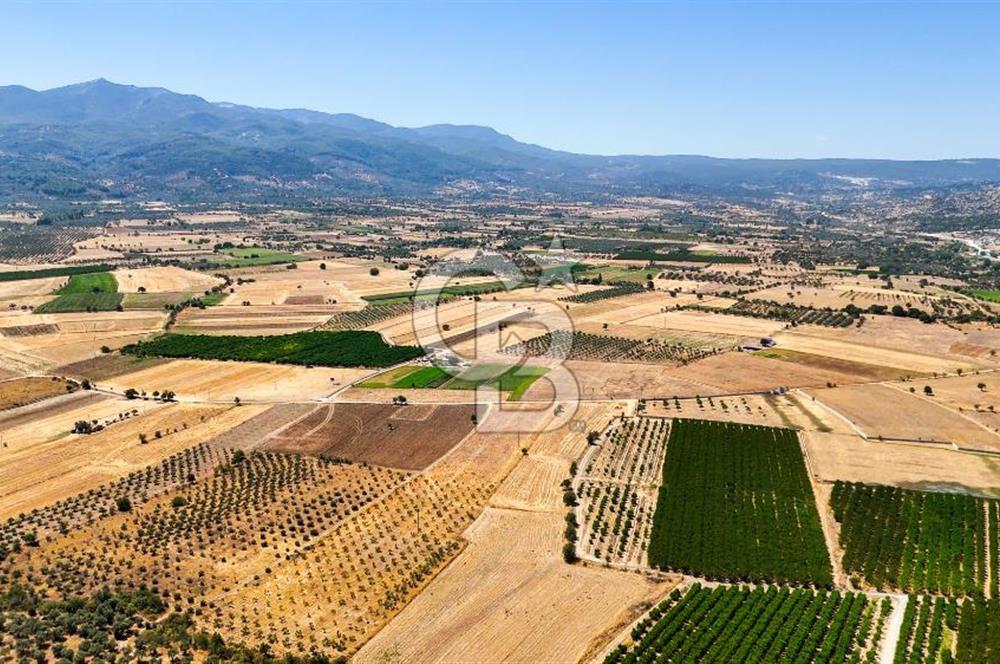 CB MARİNA'DAN HACIBAYRAMLAR MH. SATILIK 4.777 M2 "TARLA"
