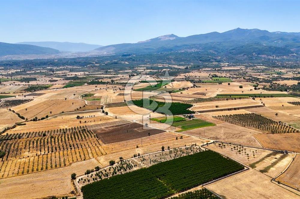 CB MARİNA'DAN HACIBAYRAMLAR MH. SATILIK 4.777 M2 "TARLA"