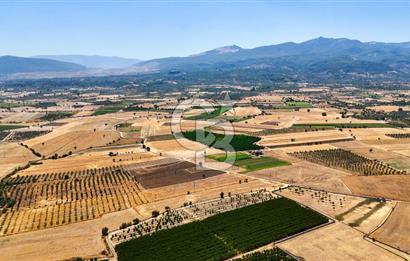 CB MARİNA'DAN HACIBAYRAMLAR MH. SATILIK 4.777 M2 "TARLA"