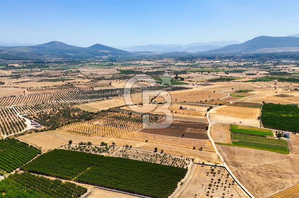 CB MARİNA'DAN HACIBAYRAMLAR MH. SATILIK 4.777 M2 "TARLA"