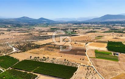 CB MARİNA'DAN HACIBAYRAMLAR MH. SATILIK 4.777 M2 "TARLA"