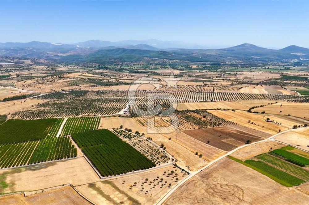 CB MARİNA'DAN HACIBAYRAMLAR MH. SATILIK 4.777 M2 "TARLA"