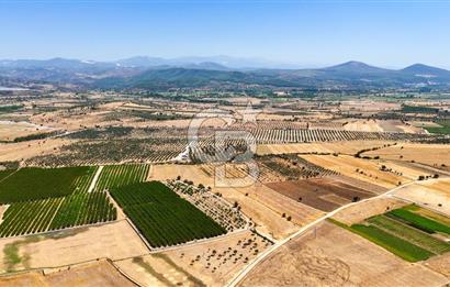 CB MARİNA'DAN HACIBAYRAMLAR MH. SATILIK 4.777 M2 "TARLA"