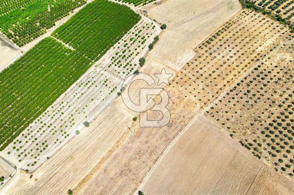 CB MARİNA'DAN HACIBAYRAMLAR MAH. SATILIK 2780 M2 "TARLA"