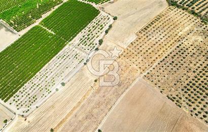 CB MARİNA'DAN HACIBAYRAMLAR MAH. SATILIK 2780 M2 "TARLA"