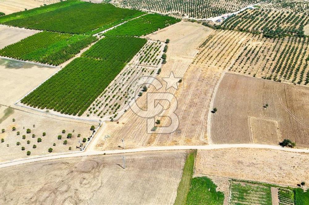 CB MARİNA'DAN HACIBAYRAMLAR MH. SATILIK 4.777 M2 "TARLA"