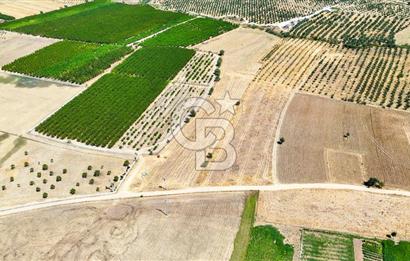 CB MARİNA'DAN HACIBAYRAMLAR MH. SATILIK 4.777 M2 "TARLA"