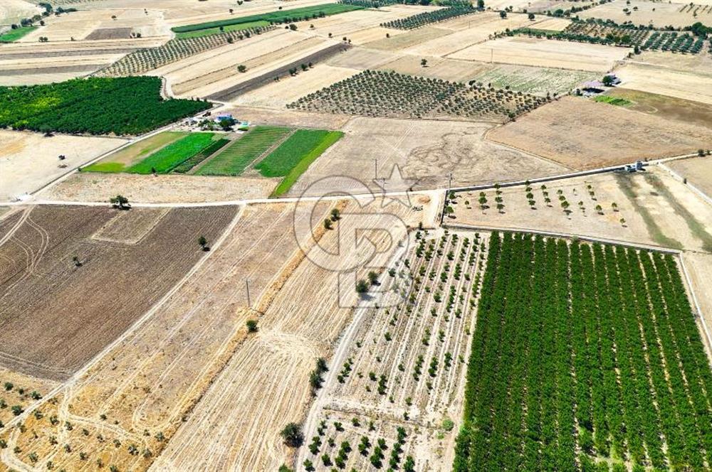 CB MARİNA'DAN HACIBAYRAMLAR MH. SATILIK 4.777 M2 "TARLA"