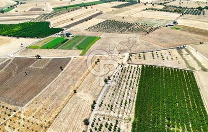 CB MARİNA'DAN HACIBAYRAMLAR MH. SATILIK 4.777 M2 "TARLA"