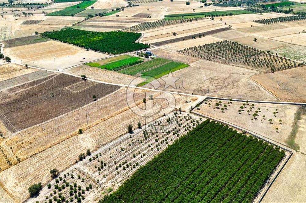 CB MARİNA'DAN HACIBAYRAMLAR MH. SATILIK 4.777 M2 "TARLA"