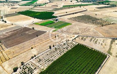 CB MARİNA'DAN HACIBAYRAMLAR MH. SATILIK 4.777 M2 "TARLA"