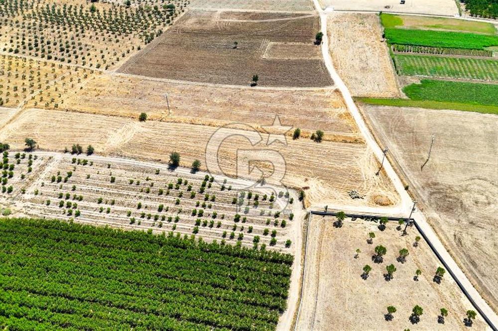 CB MARİNA'DAN HACIBAYRAMLAR MH. SATILIK 4.777 M2 "TARLA"