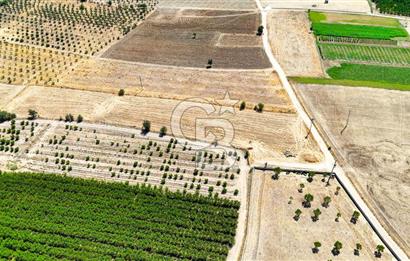 CB MARİNA'DAN HACIBAYRAMLAR MH. SATILIK 4.777 M2 "TARLA"