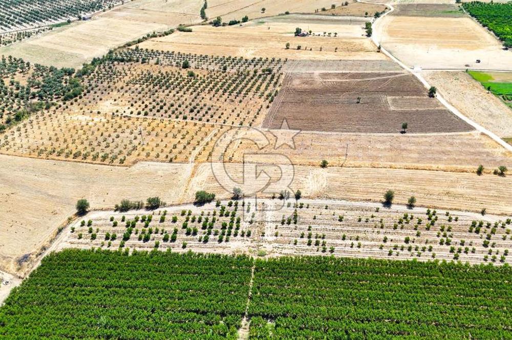 CB MARİNA'DAN HACIBAYRAMLAR MAH. SATILIK 2780 M2 "TARLA"