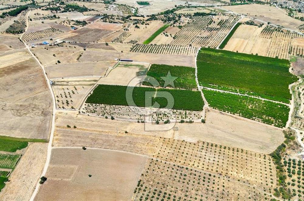 CB MARİNA'DAN HACIBAYRAMLAR MH. SATILIK 4.777 M2 "TARLA"