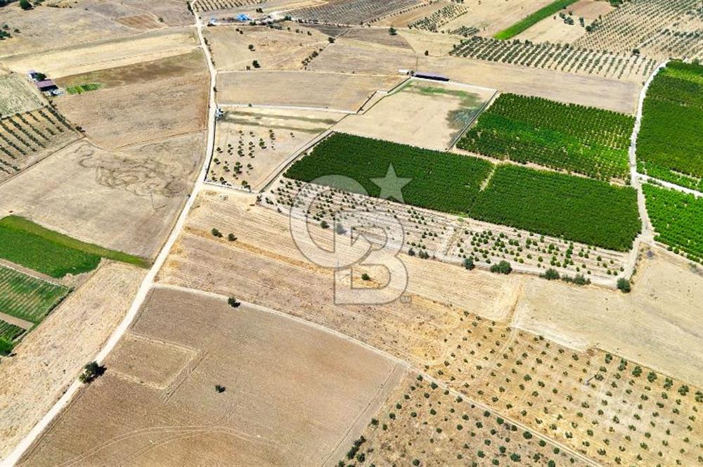 CB MARİNA'DAN HACIBAYRAMLAR MAH. SATILIK 2780 M2 "TARLA"