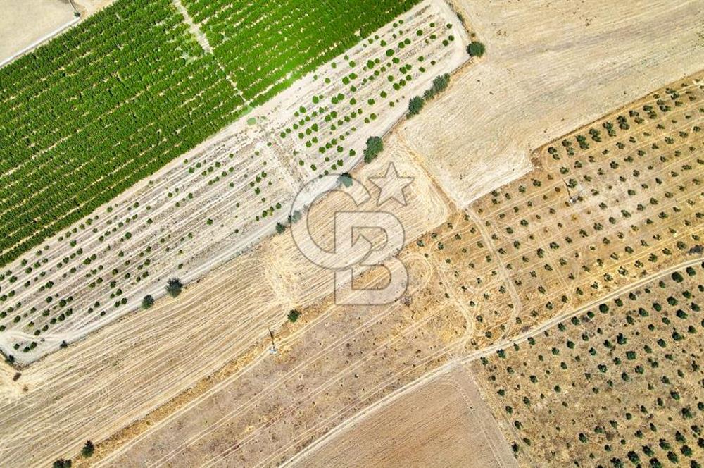 CB MARİNA'DAN HACIBAYRAMLAR MAH. SATILIK 2780 M2 "TARLA"