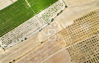 CB MARİNA'DAN HACIBAYRAMLAR MAH. SATILIK 2780 M2 "TARLA"