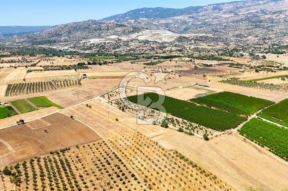 CB MARİNA'DAN HACIBAYRAMLAR MH. SATILIK 4.777 M2 "TARLA"