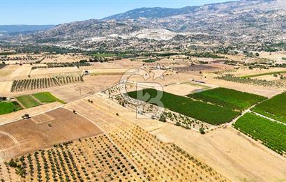 CB MARİNA'DAN HACIBAYRAMLAR MH. SATILIK 4.777 M2 "TARLA"