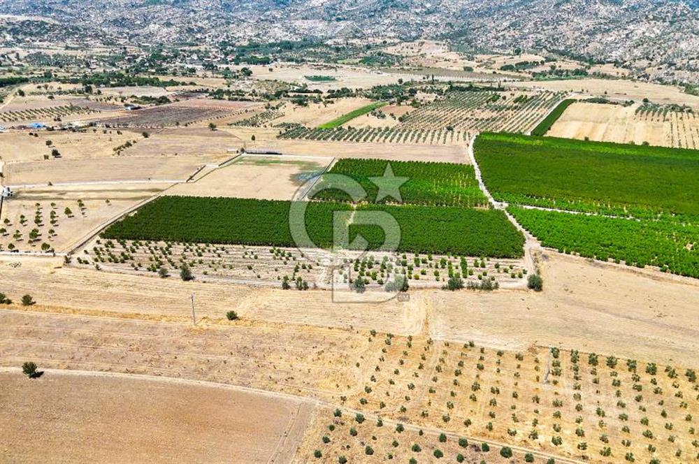 CB MARİNA'DAN HACIBAYRAMLAR MAH. SATILIK 2780 M2 "TARLA"