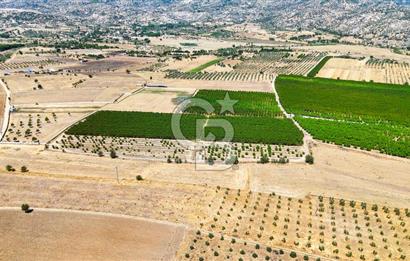 CB MARİNA'DAN HACIBAYRAMLAR MAH. SATILIK 2780 M2 "TARLA"