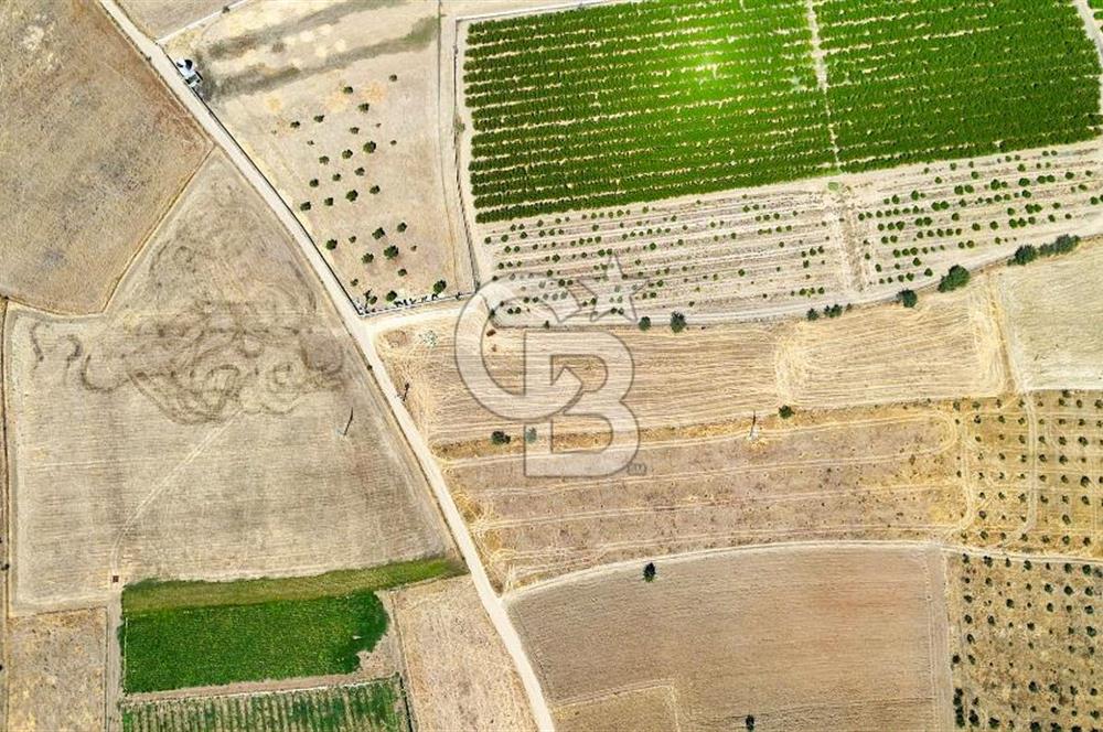 CB MARİNA'DAN HACIBAYRAMLAR MH. SATILIK 4.777 M2 "TARLA"