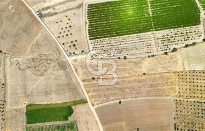 CB MARİNA'DAN HACIBAYRAMLAR MH. SATILIK 4.777 M2 "TARLA"