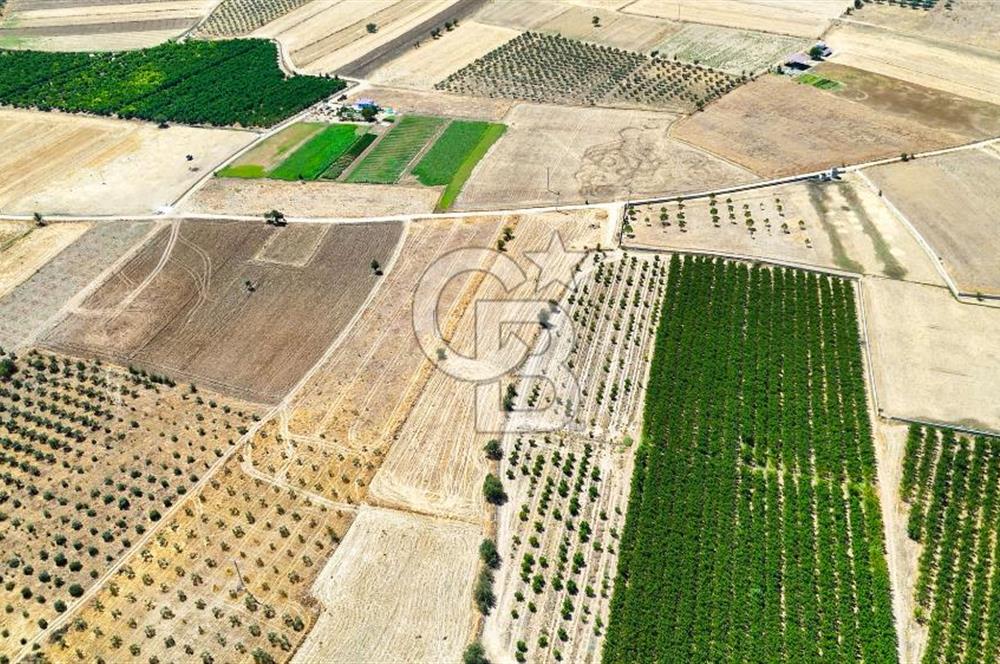 CB MARİNA'DAN HACIBAYRAMLAR MH. SATILIK 4.777 M2 "TARLA"