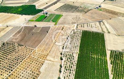 CB MARİNA'DAN HACIBAYRAMLAR MH. SATILIK 4.777 M2 "TARLA"