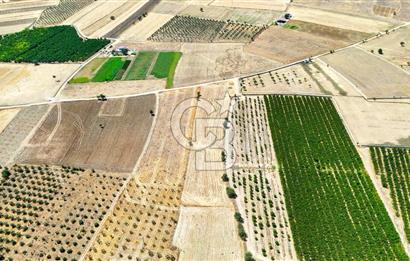 CB MARİNA'DAN HACIBAYRAMLAR MH. SATILIK 4.777 M2 "TARLA"
