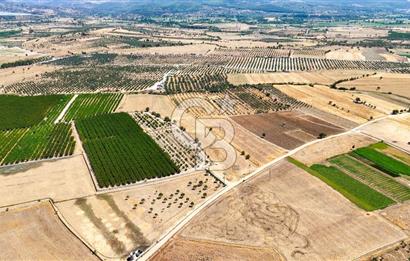 CB MARİNA'DAN HACIBAYRAMLAR MH. SATILIK 4.777 M2 "TARLA"