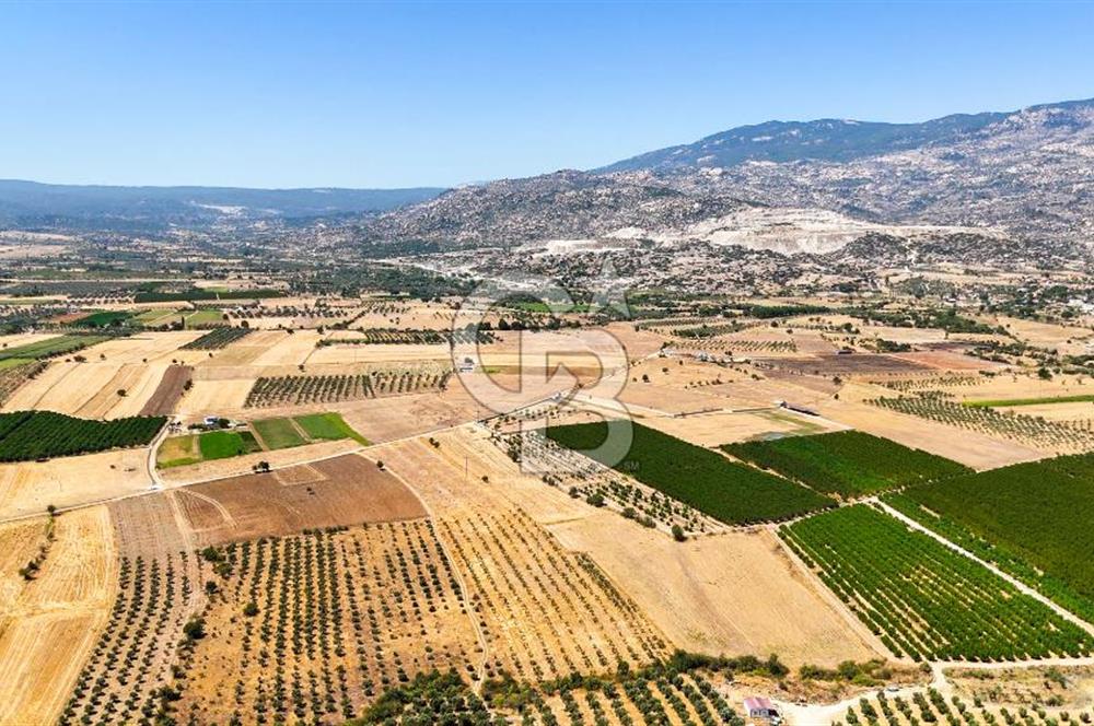 CB MARİNA'DAN HACIBAYRAMLAR MH. SATILIK 4.777 M2 "TARLA"