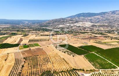 CB MARİNA'DAN HACIBAYRAMLAR MH. SATILIK 4.777 M2 "TARLA"