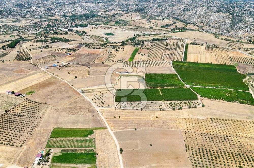 CB MARİNA'DAN HACIBAYRAMLAR MH. SATILIK 4.777 M2 "TARLA"